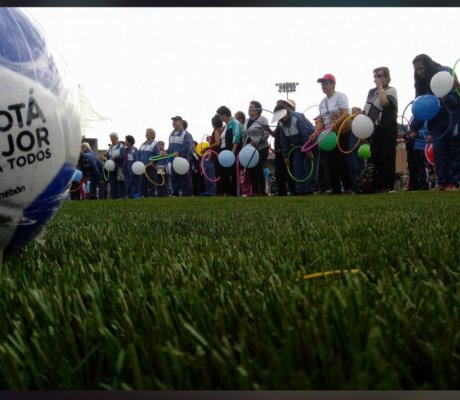 Imagen de Cancha 