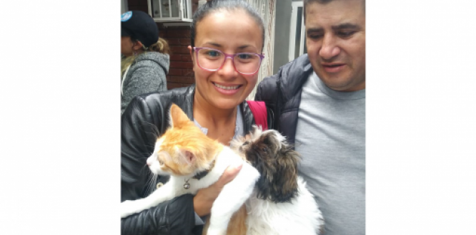 Imagen de personas con un gato durante la jornada