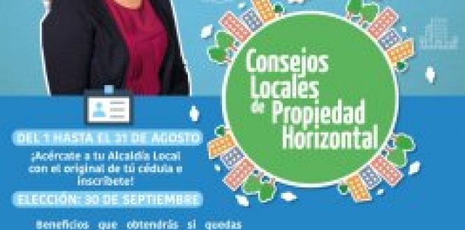 Consejos Locales de Propiedad Horizontal 